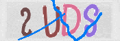 Immagine CAPTCHA